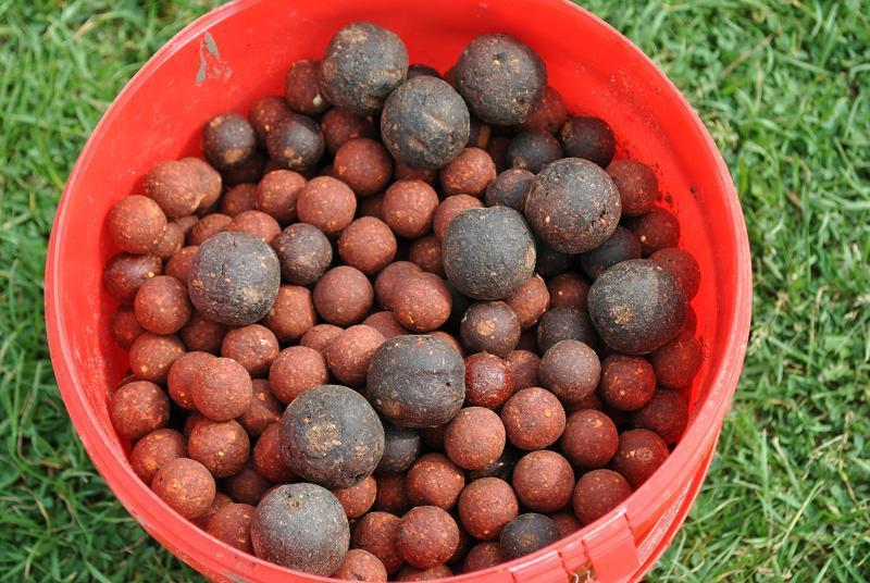 colorata este gata - a926e701-d626-40da-b43f-ef25a68d3850.jpg